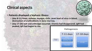 Clinical aspects
• Patients displayed a biphasic illness:
• (day 8-11) Fever, malaise, myalgia, chills, peak level of virus in blood,
destruction of erythroblasts in bone marrow.
• (day 17-24) rash and arthralgia occurred, viremia had disappeared, IgM had
peaked, IgG had begun to rise.
2/19/2016
Dr. Kaveh Haratian, Dept. of Microbiology and Immunology,
ABZUMS
20
 