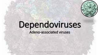 Dependoviruses
Adeno-associated viruses
2/19/2016
Dr. Kaveh Haratian, Dept. of Microbiology and Immunology,
ABZUMS
31
 