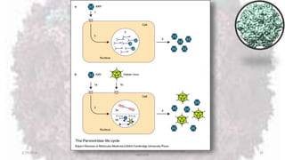 2/19/2016
Dr. Kaveh Haratian, Dept. of Microbiology and Immunology,
ABZUMS
32
 