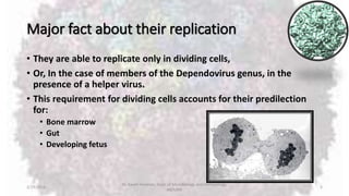 Major fact about their replication
• They are able to replicate only in dividing cells,
• Or, In the case of members of the Dependovirus genus, in the
presence of a helper virus.
• This requirement for dividing cells accounts for their predilection
for:
• Bone marrow
• Gut
• Developing fetus
2/19/2016
Dr. Kaveh Haratian, Dept. of Microbiology and Immunology,
ABZUMS
5
 