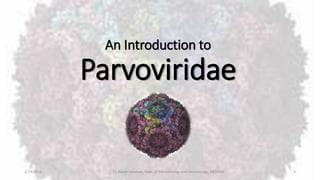 2/19/2016 Dr. Kaveh Haratian, Dept. of Microbiology and Immunology, ABZUMS 1
An Introduction to
Parvoviridae
 
