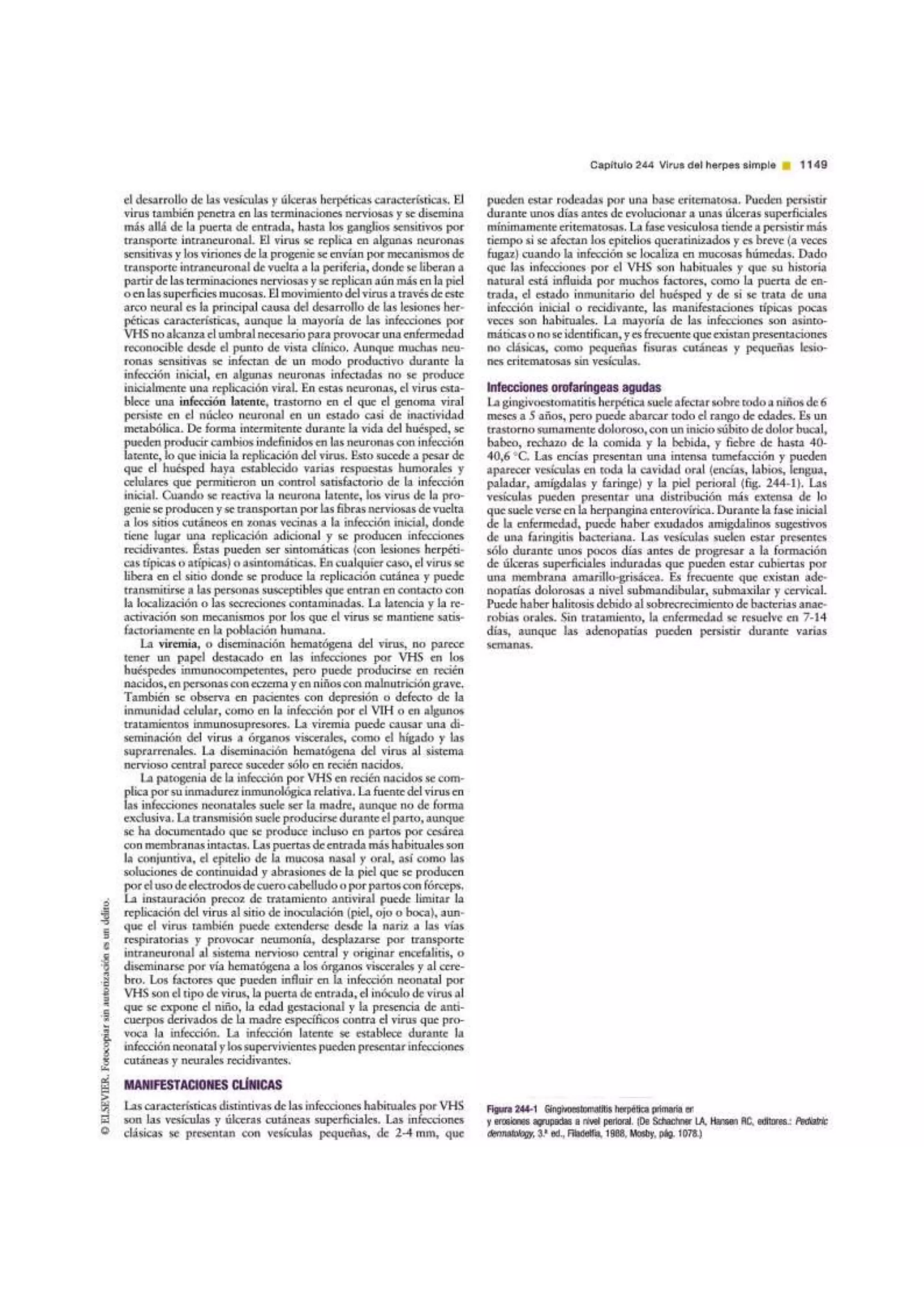 Parvovirus B19 | Tratado de Pediatria de Nelson 19 Ed.