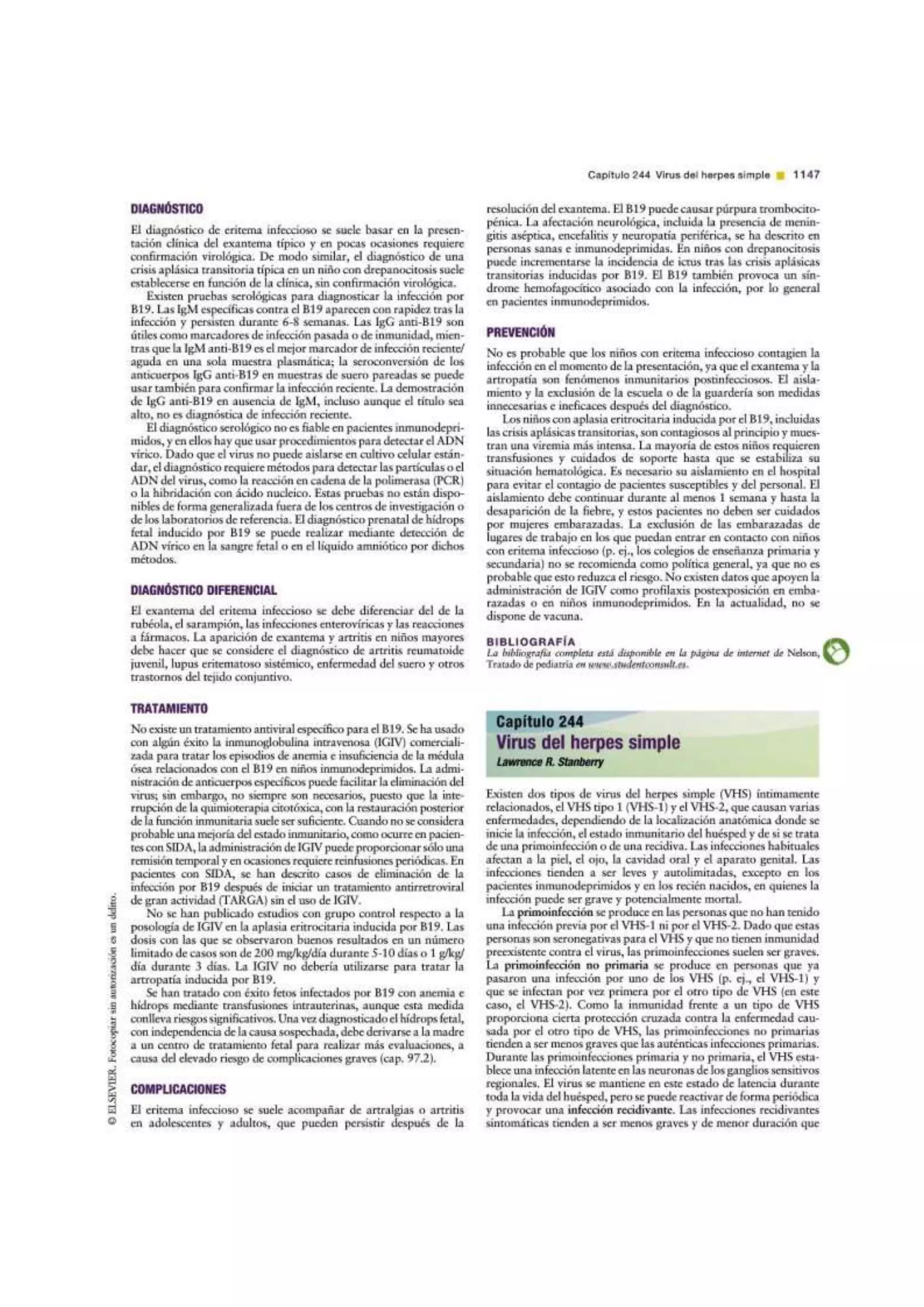 Parvovirus B19 | Tratado de Pediatria de Nelson 19 Ed.