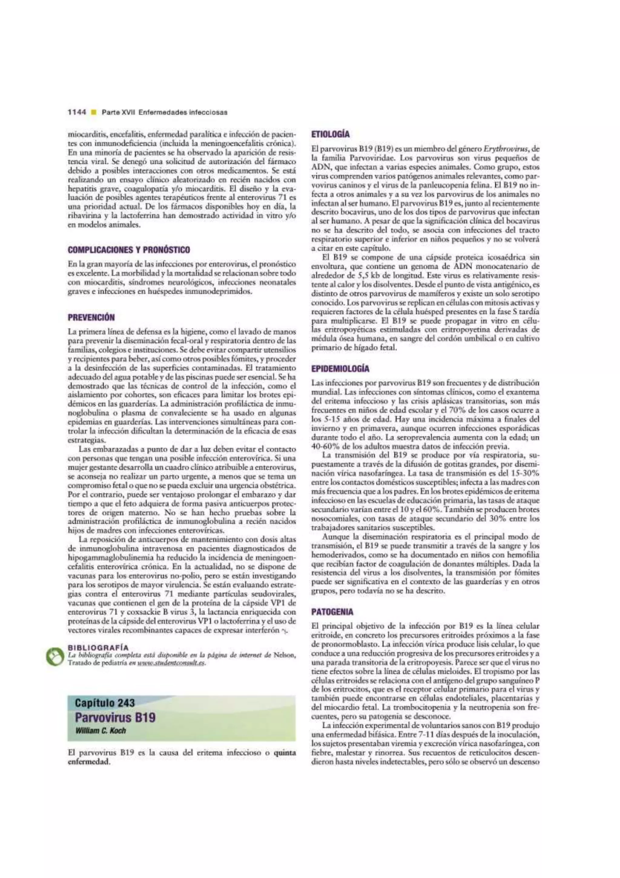 Parvovirus B19 | Tratado de Pediatria de Nelson 19 Ed.