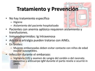 Tratamiento y PrevenciónNo hay tratamiento específicoHigieneAislamiento del paciente hospitalizado Pacientes con anemia aplásicarequieren aislamiento y  transfusiones.Inmunodeprimidos: Ig IntravenosaArtritis o artralgia pueden tratarse con AINEs.En brotes:Mujeres embarazadas deben evitar contacto con niños de edad escolar susceptibles.Infección durante el embarazo:Vigilancia (US) y examen de sangre del cordón o del neonato para virus y anticuerpo IgM durante el parto revela si ocurrió in útero. 
