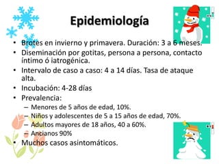 EpidemiologíaBrotes en invierno y primavera. Duración: 3 a 6 meses.Diseminaciónpor gotitas, persona a persona, contacto íntimo ó iatrogénica.Intervalo de caso a caso: 4 a 14 días. Tasa de ataque alta. Incubación: 4-28 díasPrevalencia: Menores de 5 años de edad, 10%.Niños y adolescentes de 5 a 15años de edad, 70%.Adultos mayores de 18 años, 40 a 60%. Ancianos 90%Muchos casos asintomáticos.