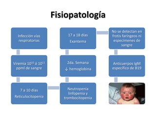 Fisiopatología