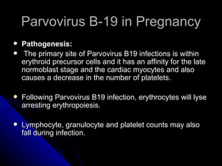 Parvovirus B-19 in Pregnancy Pathogenesis:  The primary site of Parvovirus B19 infections is within erythroid precursor cells and it has an affinity for the late normoblast stage and the cardiac myocytes and also causes a decrease in the number of platelets. Following Parvovirus B19 infection, erythrocytes will lyse arresting erythropoiesis. Lymphocyte, granulocyte and platelet counts may also fall during infection.  