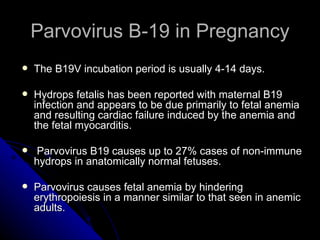 Parvovirus B-19 in Pregnancy The B19V incubation period is usually 4-14 days. Hydrops fetalis has been reported with maternal B19 infection and appears to be due primarily to fetal anemia and resulting cardiac failure induced by the anemia and the fetal myocarditis. Parvovirus B19 causes up to 27% cases of non-immune hydrops in anatomically normal fetuses. Parvovirus causes fetal anemia by hindering erythropoiesis in a manner similar to that seen in anemic adults. 