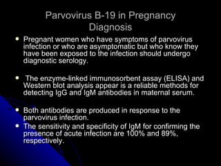 Parvovirus B-19 in Pregnancy Diagnosis Pregnant women who have symptoms of parvovirus infection or who are asymptomatic but who know they have been exposed to the infection should undergo diagnostic serology. The enzyme-linked immunosorbent assay (ELISA) and Western blot analysis appear is a reliable methods for detecting IgG and IgM antibodies in maternal serum. Both antibodies are produced in response to the parvovirus infection. The sensitivity and specificity of IgM for confirming the presence of acute infection are 100% and 89%, respectively. 