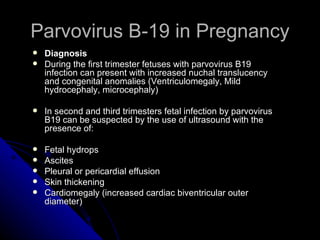 Parvovirus B-19 in Pregnancy Diagnosis   During the first trimester fetuses with parvovirus B19 infection can present with increased nuchal translucency and congenital anomalies (Ventriculomegaly, Mild hydrocephaly, microcephaly) In second and third trimesters fetal infection by parvovirus B19 can be suspected by the use of ultrasound with the presence of: Fetal hydrops Ascites Pleural or pericardial effusion Skin thickening Cardiomegaly (increased cardiac biventricular outer diameter)  