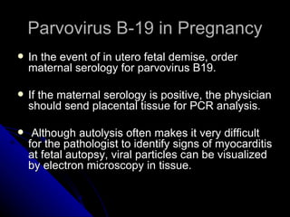 Parvovirus B-19 in Pregnancy In the event of in utero fetal demise, order maternal serology for parvovirus B19. If the maternal serology is positive, the physician should send placental tissue for PCR analysis. Although autolysis often makes it very difficult for the pathologist to identify signs of myocarditis at fetal autopsy, viral particles can be visualized by electron microscopy in tissue. 