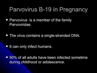 Parvovirus B-19 in Pregnancy Parvovirus  is a member of the family Parvoviridae. The virus contains a single-stranded DNA. It can only infect humans. 50% of all adults have been infected sometime during childhood or adolescence. 