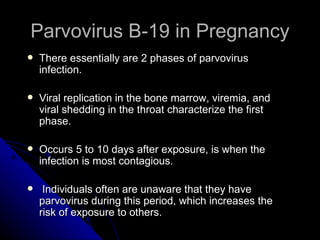 Parvovirus B-19 in Pregnancy There essentially are 2 phases of parvovirus infection.  Viral replication in the bone marrow, viremia, and viral shedding in the throat characterize the first phase. Occurs 5 to 10 days after exposure, is when the infection is most contagious. Individuals often are unaware that they have parvovirus during this period, which increases the risk of exposure to others. 