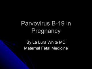 Parvovirus B-19 in Pregnancy By La Lura White MD Maternal Fetal Medicine 