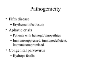 Pathogenicity
• Fifth disease
– Erythema infectiosum
• Aplastic crisis
– Patients with hemoglobinopathies
– Immunosuppressed, immunodeficient,
immunocompromised
• Congenital parvovirus
– Hydrops fetalis