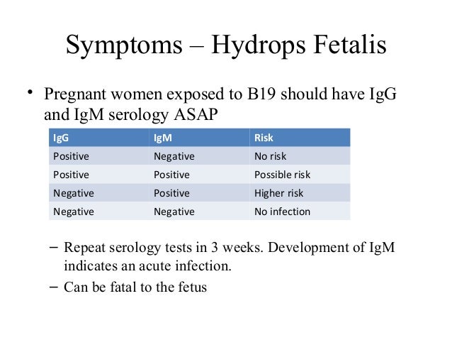 Fifths disease pregnancy treatment