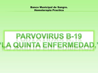 Banco Municipal de Sangre.
Hemoterapia Practica

 