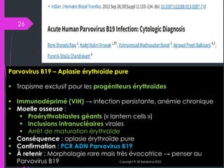 B19 Inside Inside the Cell: Parvovirus B19’s Cytological Signatures | PDF