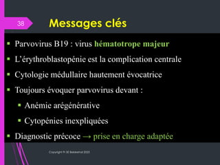 B19 Inside Inside the Cell: Parvovirus B19’s Cytological Signatures | PDF
