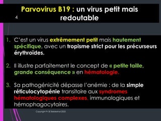 B19 Inside Inside the Cell: Parvovirus B19’s Cytological Signatures | PDF