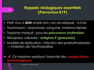 B19 Inside Inside the Cell: Parvovirus B19’s Cytological Signatures | PDF