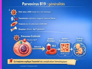 B19 Inside Inside the Cell: Parvovirus B19’s Cytological Signatures | PDF