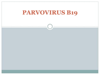 PARVOVIRUS B19
 