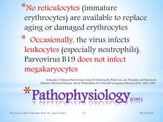 *Pathophysiology(Cont.)
*No reticulocytes (immature
erythrocytes) are available to replace
aging or damaged erythrocytes
* Occasionally, the virus infects
leukocytes (especially neutrophils).
Parvovirus B19 does not infect
megakaryocytes
08/10/2018Parvovirus 3B19 infection Prof. Dr. Saad S AlAni 11
Schneider, E. Human Parvoviruses. Long SS, Pickering LK, Prober CG, eds. Principles and Practice of
Pediatric Infectious Diseases. 4th ed. Philadelphia, PA: Churchill Livingstone Elsevier; 2012. 1087-1091.
 