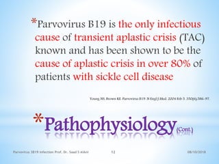 08/10/2018Parvovirus 3B19 infection Prof. Dr. Saad S AlAni 12
*Parvovirus B19 is the only infectious
cause of transient aplastic crisis (TAC)
known and has been shown to be the
cause of aplastic crisis in over 80% of
patients with sickle cell disease
*Pathophysiology(Cont.)
Young NS, Brown KE. Parvovirus B19. N Engl J Med. 2004 Feb 5. 350(6):586-97.
 