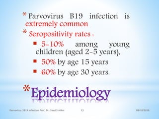 *Epidemiology
* Parvovirus B19 infection is
extremely common
* Seropositivity rates :
 5-10% among young
children (aged 2-5 years),
 50% by age 15 years
 60% by age 30 years.
08/10/2018Parvovirus 3B19 infection Prof. Dr. Saad S AlAni 13
 