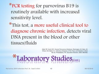 08/10/2018Parvovirus 3B19 infection Prof. Dr. Saad S AlAni 40
*Laboratory Studies(Cont.)
*PCR testing for parvovirus B19 is
routinely available with increased
sensitivity level.
*This test, a more useful clinical tool to
diagnose chronic infection, detects viral
DNA present in the blood or other
tissues/fluids
Adler SP, Koch WC. Human Parvovirus Infections. Remington JS, Klein JO,
Wilson CB, Baker CJ. Infectious Diseases of the Fetus and Newborn Infant.
6th ed. Philadelphia, PA: Saunders Elsevier; 2006. 868-892.
 