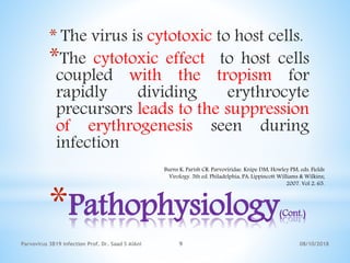 *Pathophysiology(Cont.)
* The virus is cytotoxic to host cells.
*The cytotoxic effect to host cells
coupled with the tropism for
rapidly dividing erythrocyte
precursors leads to the suppression
of erythrogenesis seen during
infection
08/10/2018Parvovirus 3B19 infection Prof. Dr. Saad S AlAni 9
Burns K, Parish CR. Parvoviridae. Knipe DM, Howley PM, eds. Fields
Virology. 5th ed. Philadelphia, PA: Lippincott Williams & Wilkins;
2007. Vol 2: 65.
 