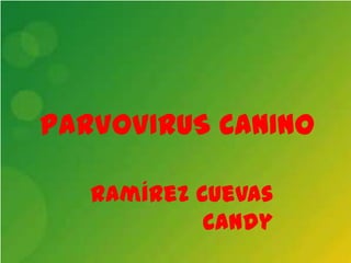 PARVOVIRUS CANINO

   Ramírez Cuevas
            Candy
 