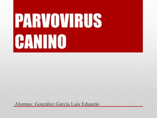 PARVOVIRUS
CANINO
Alumno: González García Luis Eduardo
 
