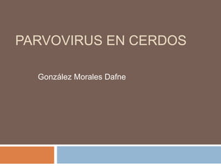 PARVOVIRUS EN CERDOS
González Morales Dafne
 