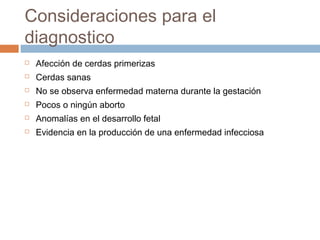 Consideraciones para el
diagnostico
 Afección de cerdas primerizas
 Cerdas sanas
 No se observa enfermedad materna durante la gestación
 Pocos o ningún aborto
 Anomalías en el desarrollo fetal
 Evidencia en la producción de una enfermedad infecciosa
 