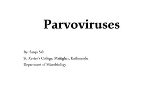 Parvoviruses
By- Sanju Sah
St. Xavier’s College, Maitighar, Kathmandu
Department of Microbiology
 