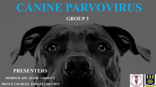 CANINE PARVOVIRUS
PRESENTERS
DERRICK ADU ASARE (10640157)
PRINCE CHARLES KORLEY (10611907)
GROUP 3
 