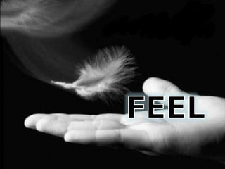 FEEL