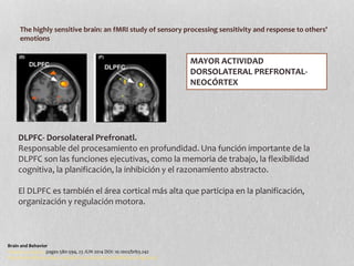 The highly sensitive brain: an fMRI study of sensory processing sensitivity and response to others'
emotions
Brain and Behavior
Volume 4, Issue 4, pages 580-594, 23 JUN 2014 DOI: 10.1002/brb3.242
http://onlinelibrary.wiley.com/doi/10.1002/brb3.242/full#brb3242-fig-0003
DLPFC- Dorsolateral Prefronatl.
Responsable del procesamiento en profundidad. Una función importante de la
DLPFC son las funciones ejecutivas, como la memoria de trabajo, la flexibilidad
cognitiva, la planificación, la inhibición y el razonamiento abstracto.
El DLPFC es también el área cortical más alta que participa en la planificación,
organización y regulación motora.
MAYOR ACTIVIDAD
DORSOLATERAL PREFRONTAL-
NEOCÓRTEX
 