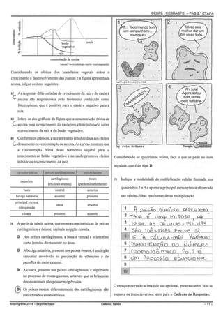 Gabarito PAS 2, subprograma 2014, caderno Bernini