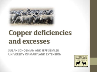 Copper deficiencies
and excesses
SUSAN SCHOENIAN AND JEFF SEMLER
UNIVERSITY OF MARYLAND EXTENSION
 