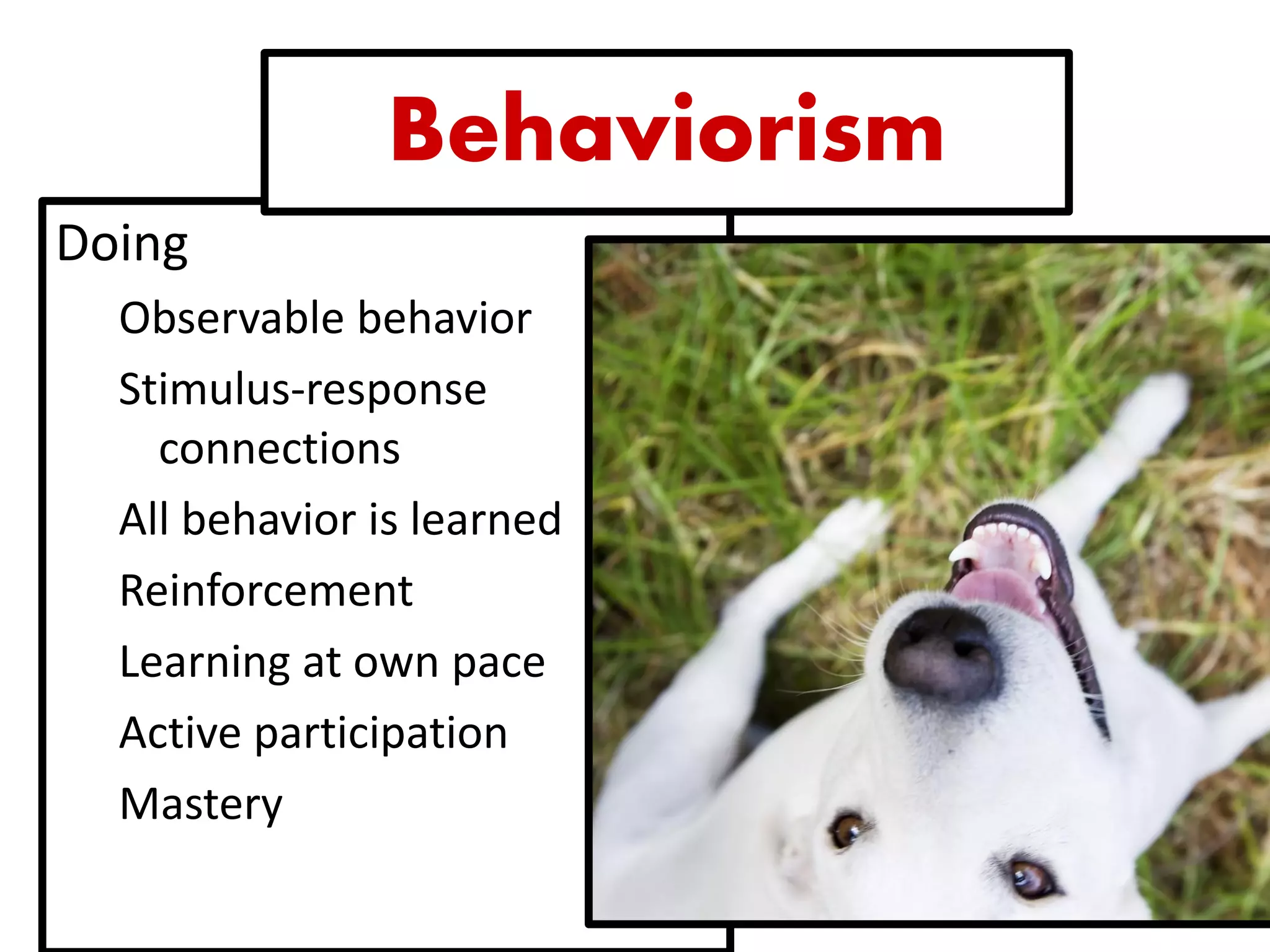 Doing 
Observable behavior 
Stimulus-response connections 
All behavior is learned 
Reinforcement 
Learning at own pace 
Active participation 
Mastery 
Behaviorism  