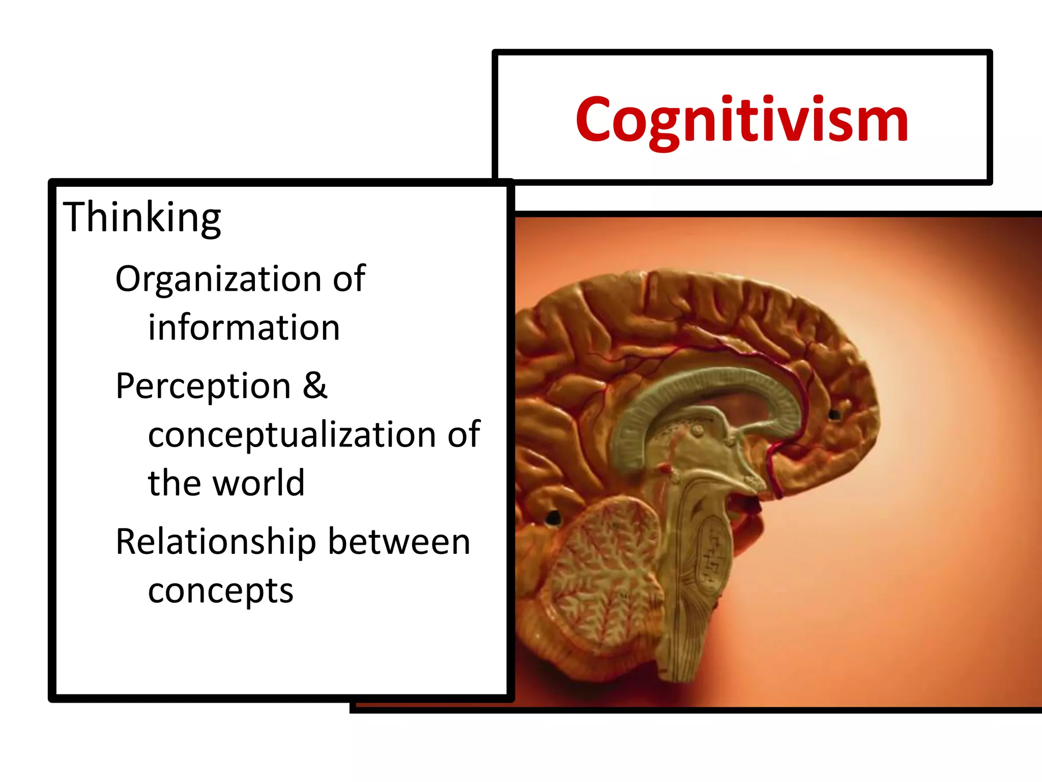 Cognitivism 
Thinking 
Organization of information 
Perception & conceptualization of the world 
Relationship between concepts  