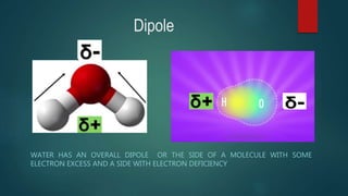 Dipole
WATER HAS AN OVERALL DIPOLE OR THE SIDE OF A MOLECULE WITH SOME
ELECTRON EXCESS AND A SIDE WITH ELECTRON DEFICIENCY
 