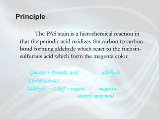 Principle:
The PAS stain is a histochemical reaction in
that the periodic acid oxidizes the carbon to carbon
bond forming aldehyde which react to the fuchsin-
sulfurous acid which form the magenta color.
Glucose + Periodic acid - aldehyde
(Carbohydrate)
Aldehyde + Schiff’s reagent - magenta
colored compound
 