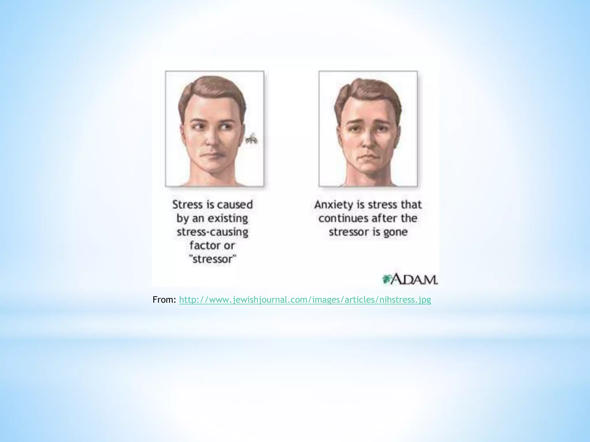 From: http://www.jewishjournal.com/images/articles/nihstress.jpg
 