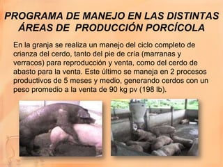 PROGRAMA DE MANEJO EN LAS DISTINTAS
  ÁREAS DE PRODUCCIÓN PORCÍCOLA
 En la granja se realiza un manejo del ciclo completo de
 crianza del cerdo, tanto del pie de cría (marranas y
 verracos) para reproducción y venta, como del cerdo de
 abasto para la venta. Este último se maneja en 2 procesos
 productivos de 5 meses y medio, generando cerdos con un
 peso promedio a la venta de 90 kg pv (198 lb).
 