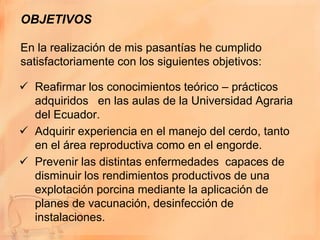 OBJETIVOS

En la realización de mis pasantías he cumplido
satisfactoriamente con los siguientes objetivos:

 Reafirmar los conocimientos teórico – prácticos
  adquiridos en las aulas de la Universidad Agraria
  del Ecuador.
 Adquirir experiencia en el manejo del cerdo, tanto
  en el área reproductiva como en el engorde.
 Prevenir las distintas enfermedades capaces de
  disminuir los rendimientos productivos de una
  explotación porcina mediante la aplicación de
  planes de vacunación, desinfección de
  instalaciones.
 